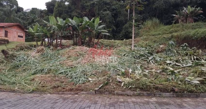 TERRENO no BOM RETIRO com 0 quartos para VENDA, 800 m²