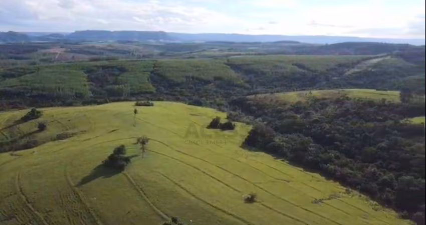 Chácara à venda, 20000 m² por R$ 350.000 - Zona Rural - Anhembi/SP