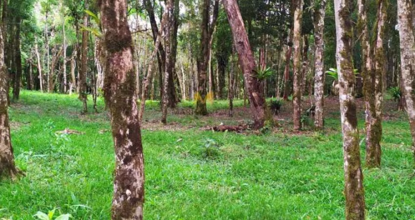 Chácara à venda no Recreio da Serra em Piraquara!!!