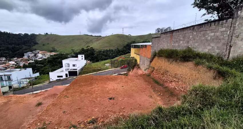 Terreno à venda na Rua Carlita de Assis Pereira, Bosque dos Pinheiros, Juiz de Fora