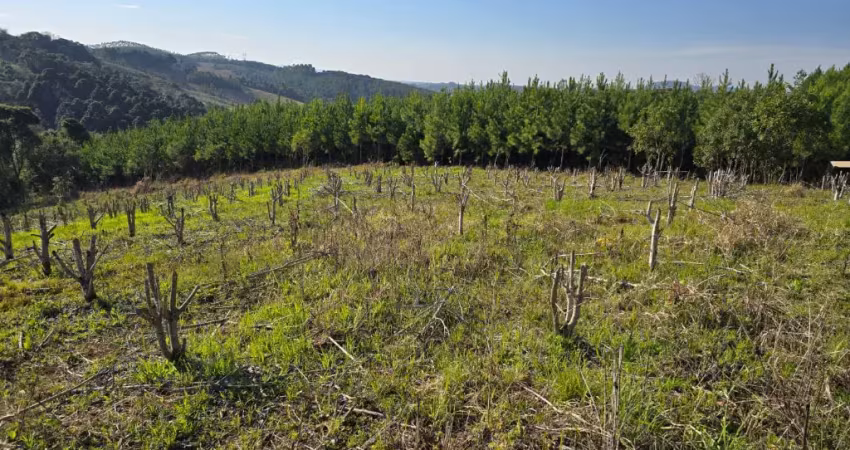 Chácara / sítio à venda na sobrado, zona rural, agudos do sul