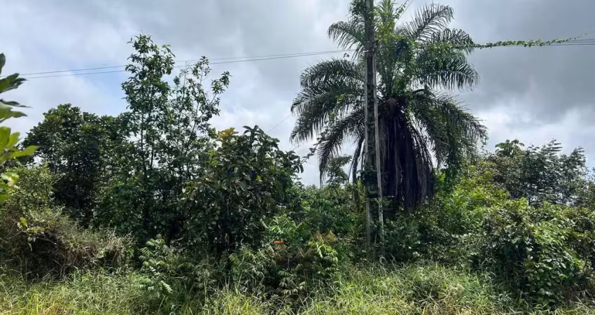 Terreno à venda, florada da serra, chapada dos guimarães, mt