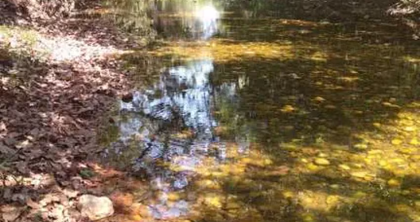 Chácara para venda e locação, coxipo do ouro, coxipó do ouro, mt