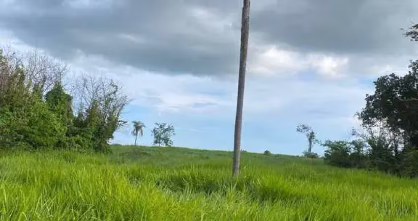 Fazenda à venda, sentido cidade de caceres, várzea grande, mt