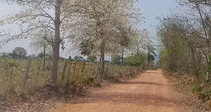 Chácara / sítio com 8 quartos à venda na Rua 13 de Junho, Centro, Cáceres