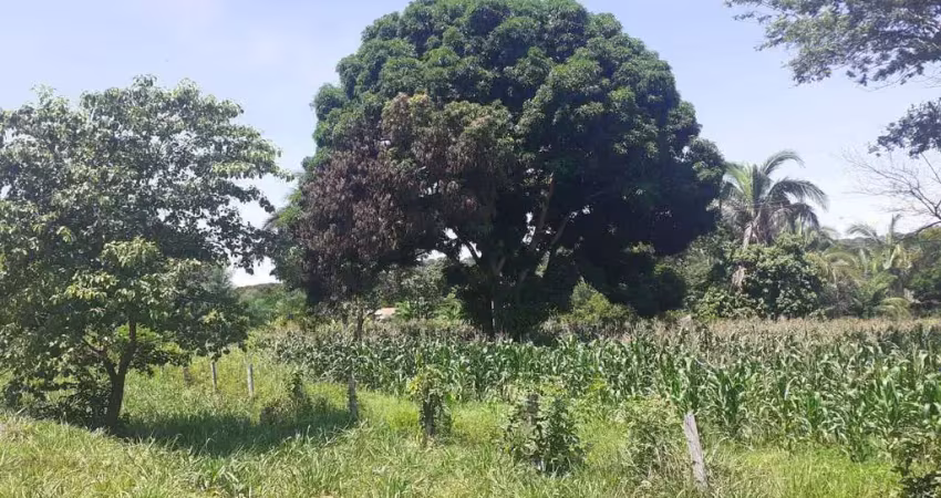Terreno à venda, comunidade mimoso, santo antônio do leverger, mt
