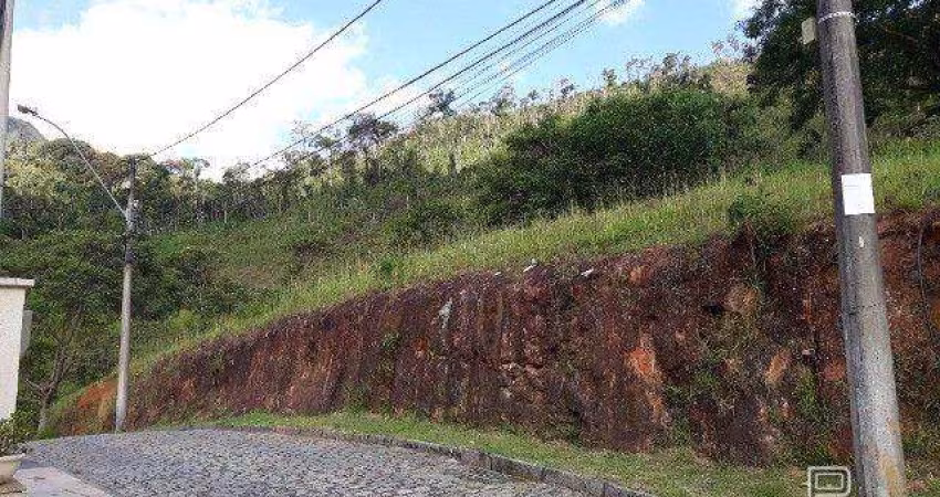 Terreno à venda, 320 m² por R$ 249.900,00 - Tijuca - Teresópolis/RJ