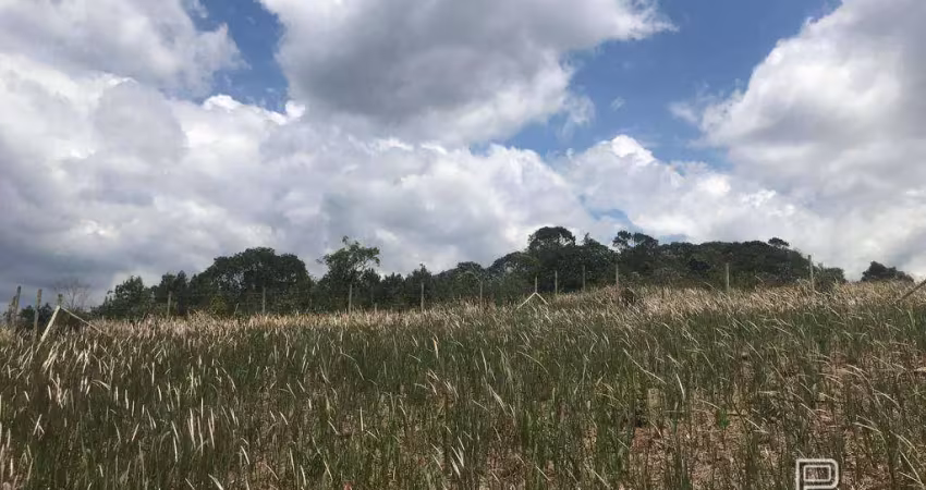 Terreno à venda, 630 m² - pessegueiros - teresópolis/rj