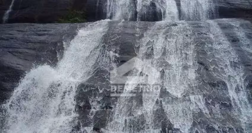 Fazenda em carvalhos  com 8 dormitórios à venda, 854000 m² por r$ 6.000.000 - centro - carvalhos/minas gerais