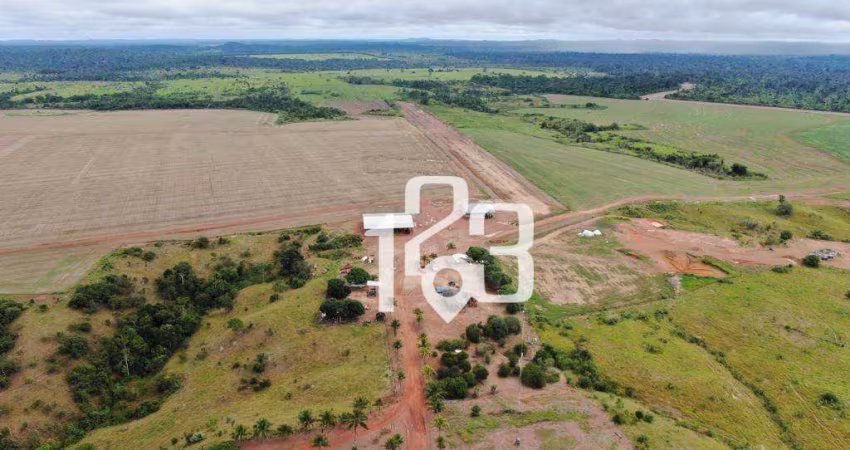 Fazenda à venda, 38600000 m² por R$ 184.000.000,00 - Zona Rural - Juara/MT