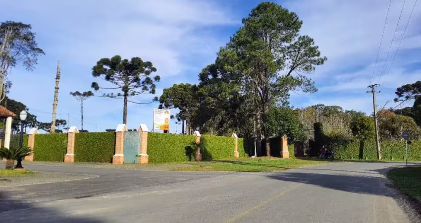 Terreno à venda na Rua Osmário de Oliveira Bastos, 5, Vila Fuck, Piraquara