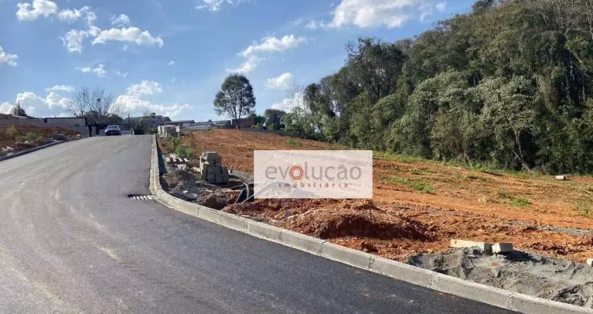 Terreno à venda, 1.060 m² privativos -   vila conceição - campo largo/pr