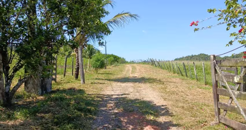 Sítio para locação em candeias, área rural de candeias