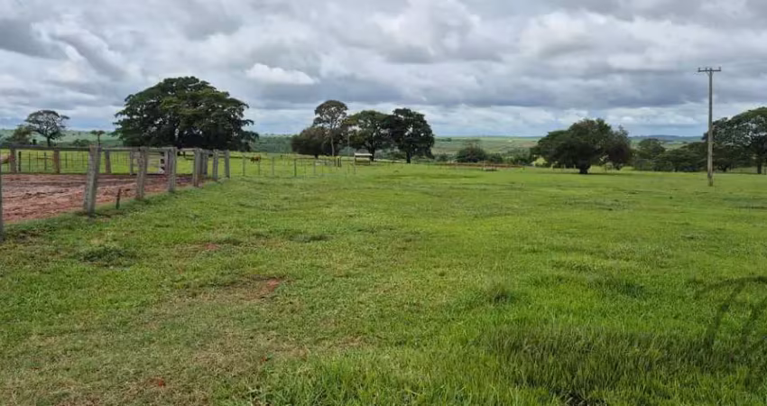Oportunidade única – fazenda à venda com 95 alqueires em martinópolis/sp