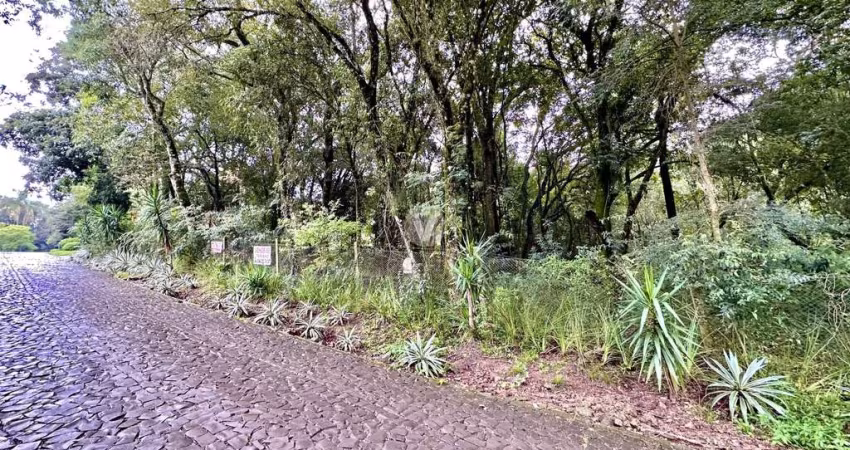 TERRENO NO BAIRRO CERRITO - ALAMEDA SIBIPIRUNA
