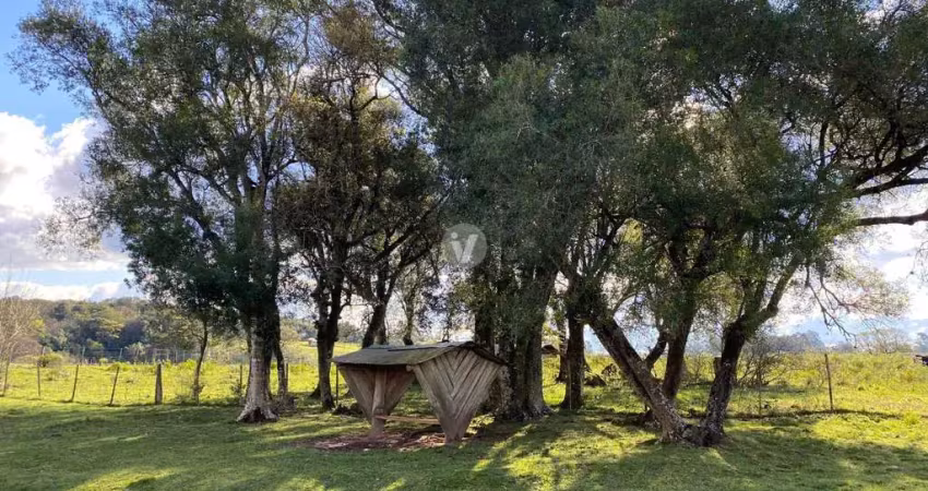 Chácara / sítio com 1 quarto à venda na Rua Syllas Pauler, s n, Parque Serrano, Itaara