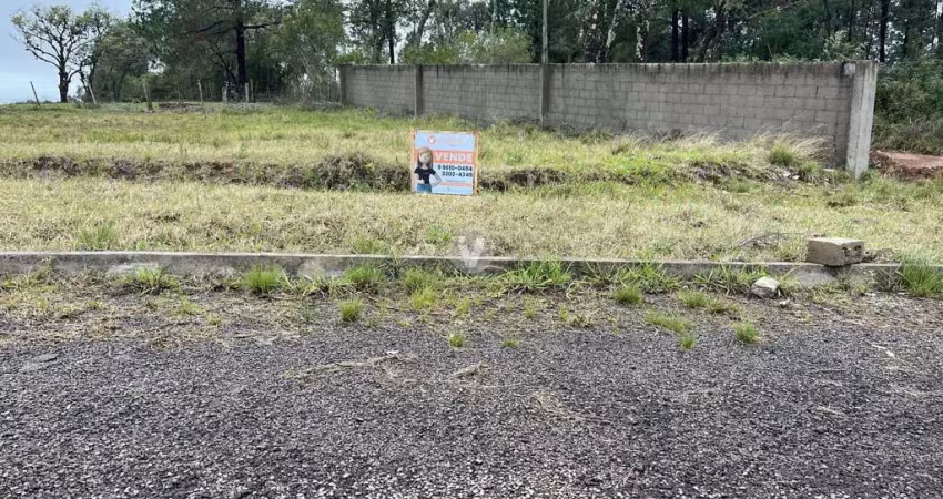 Terreno à venda na Estrada Eduardo Duarte, 00, Tomazetti, Santa Maria