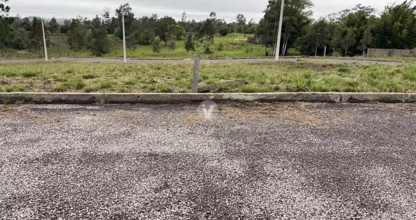 Terreno à venda na Estrada Eduardo Duarte, 00, Tomazetti, Santa Maria