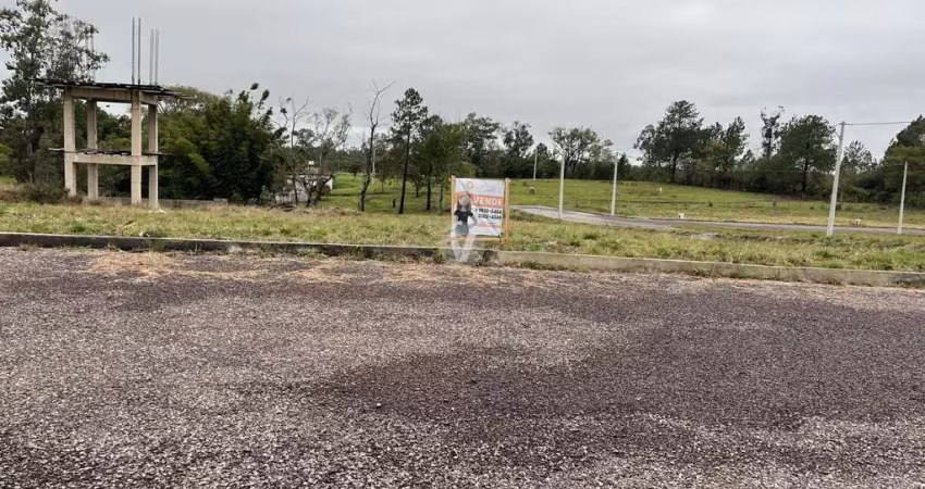 Terreno à venda na Estrada Eduardo Duarte, 00, Tomazetti, Santa Maria