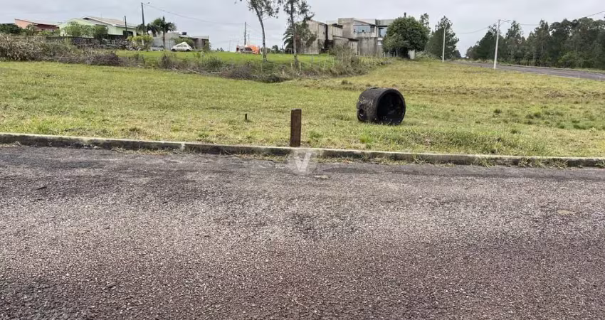 Terreno à venda na Estrada Eduardo Duarte, 00, Tomazetti, Santa Maria