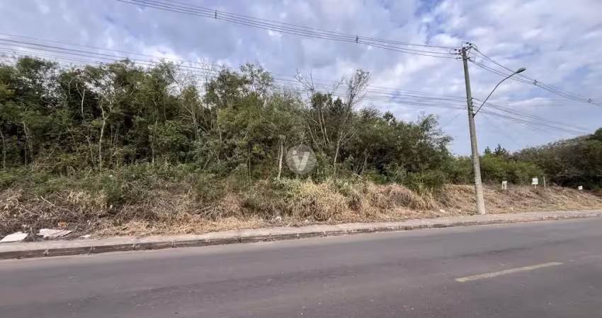 Excelente terreno medindo 1.026m², localizado próximo ao cond. moradas santa mar