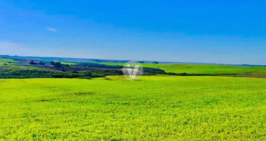 Área rural à venda em cacequi com 300 ha, possuindo 10ha de barragem
