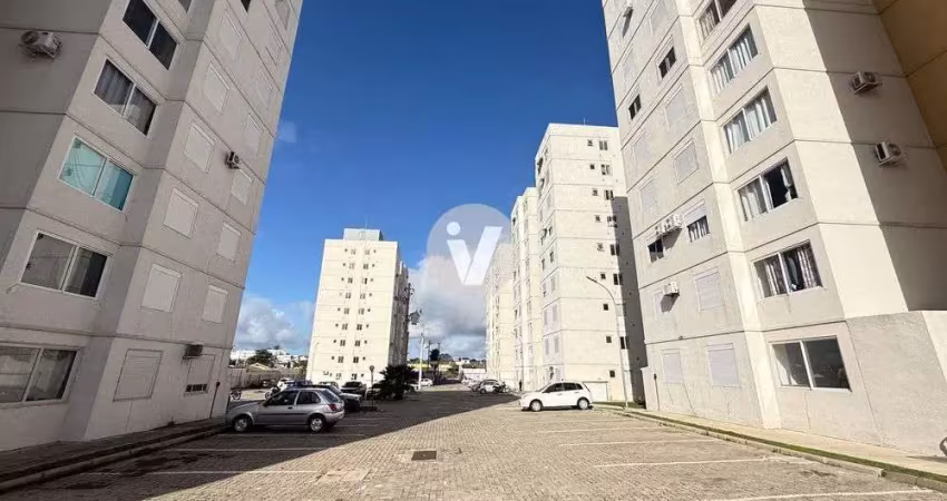 Apartamento de 2 dormitórios, disponível para venda ou locação, res. hera.