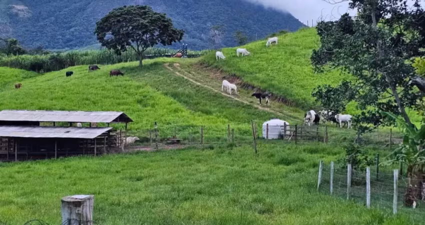 Fazenda à venda na Avenida Quintino Bocaiúva, 1, São Francisco, Niterói