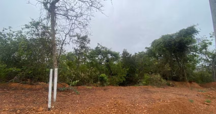 Terreno à venda, 360 m² por R$ 169.900,00 - Parque das Borboletas - Lagoa Santa/MG