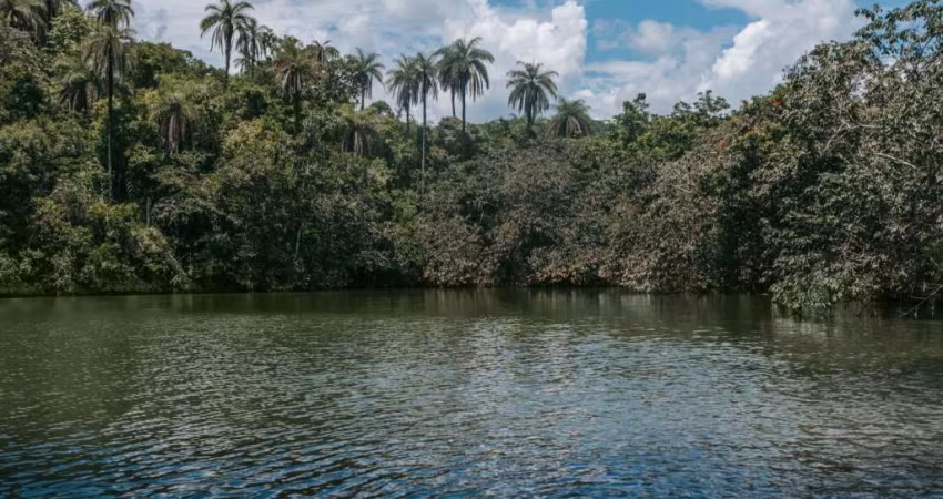 Terreno à venda, 30369 m² por R$ 600.000,00 - Terras Verdes - Lagoa Santa/MG
