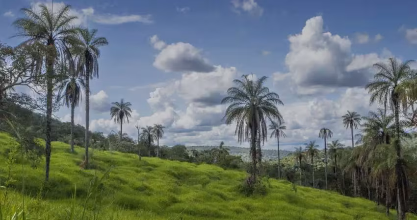 Terreno à venda, 42535 m² por r$ 600.000,00 - terras verdes - lagoa santa/mg