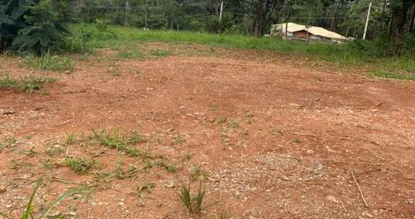 Lote plano no Jardim Ipe