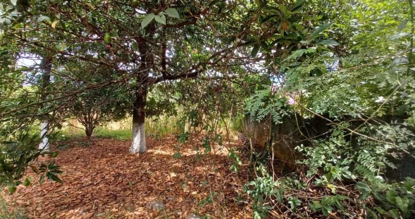 Terreno à venda, 1000 m² por R$ 700.000,00 - Jardim Ipê - Lagoa Santa/MG