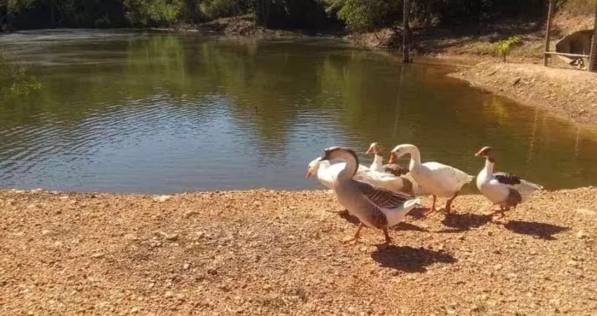 Terreno à venda no Centro, Jequitibá 