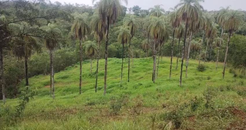 Área à venda, 110000 m² por R$ 380.000,00 - Zona Rural - Jaboticatubas/MG