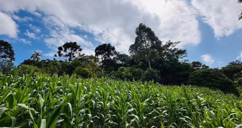 Sítio / chácara 1 quarto para venda no bairro serra grande em três coroas