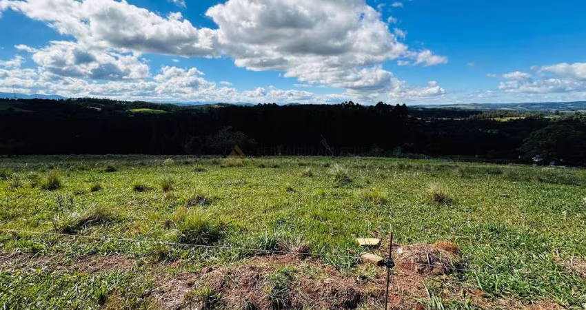 Sítio / Chácara para Venda no bairro Zona Rural em Sapiranga, 5000 m² privativos,
