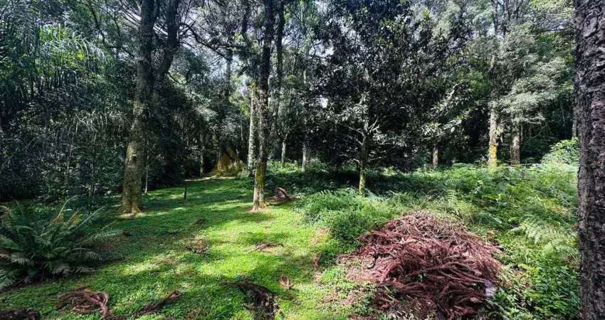 Terreno para venda no bairro linha imperial em nova petrópolis