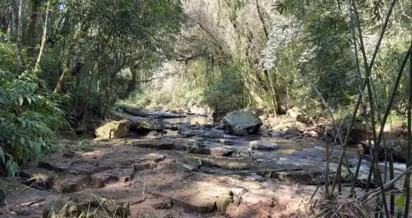 Sítio / chácara para venda no bairro são jacó em nova petrópolis