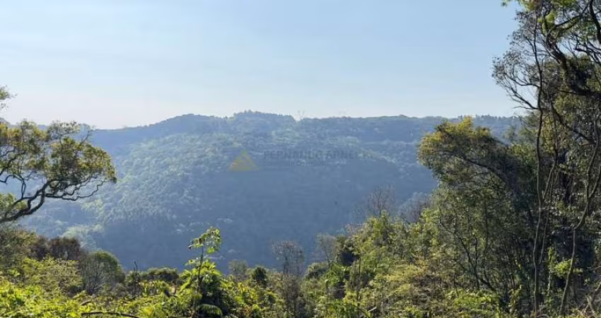 Sítio / Chácara para Venda no bairro Treze Colônias em Nova Petrópolis, 16000 m² de área total,