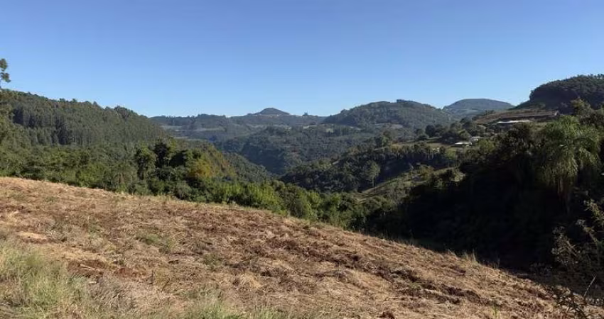 Sítio / Chácara para Venda no bairro Linha Marcondes em Santa Maria do Herval, 151000 m² de área total,