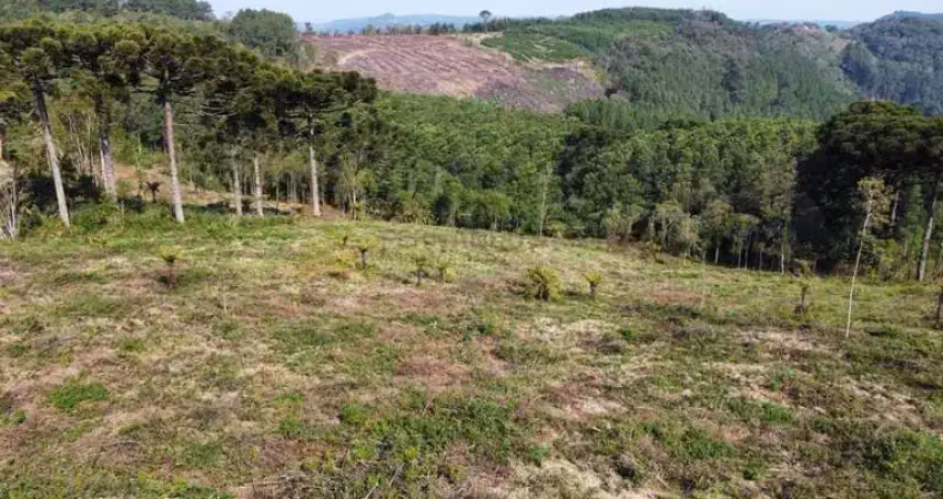 Sítio / chácara para venda no bairro linha tapera em gramado