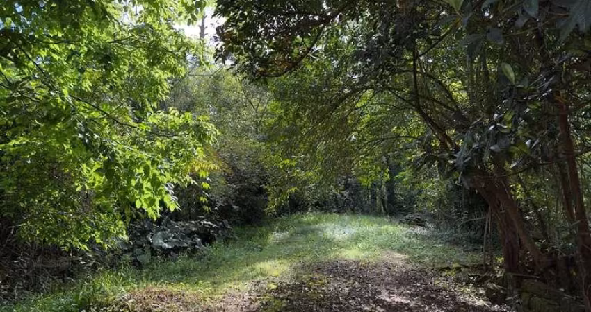 Terreno para Venda no bairro Amaral Ribeiro em Sapiranga, 853 m² de área total,