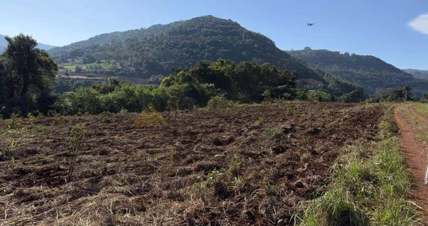 Sítio / Chácara para Venda no bairro Linha Marcondes em Santa Maria do Herval, 20000 m² privativos,