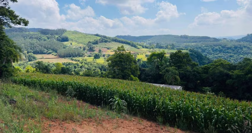 Sítio / Chácara para Venda no bairro Linha Quatro Cantos em Morro Reuter, 2 quartos, 1 vaga, 30000 m² privativos,