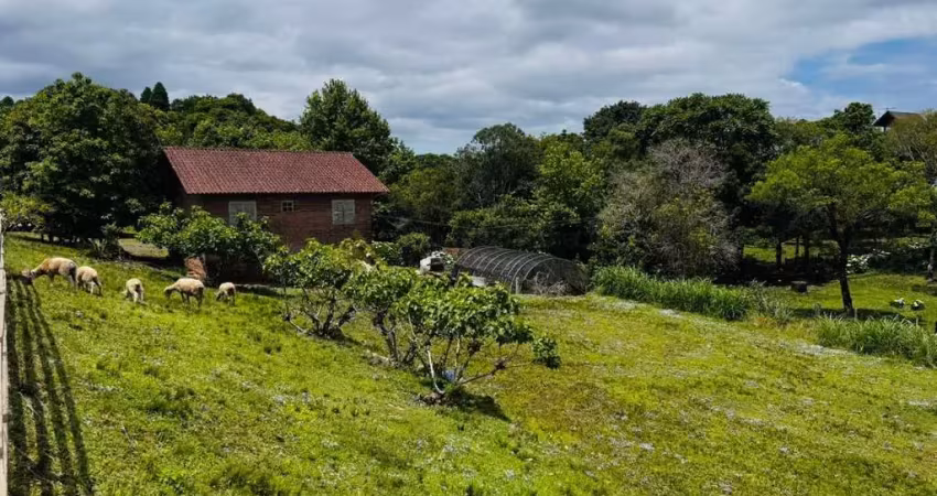 Sítio / chácara 2 quartos para venda no bairro serra grande em três coroas