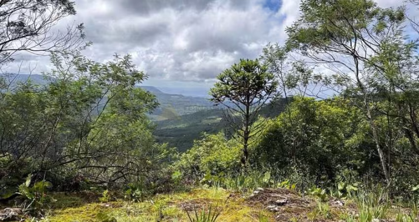 Terreno para Venda no bairro Mato Comprido em Morro Reuter, 1000 m² privativos,