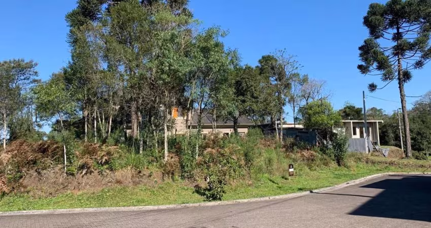 Terreno para Venda no bairro Carniel em Gramado, 543 m² de área total, 543 m² privativos,