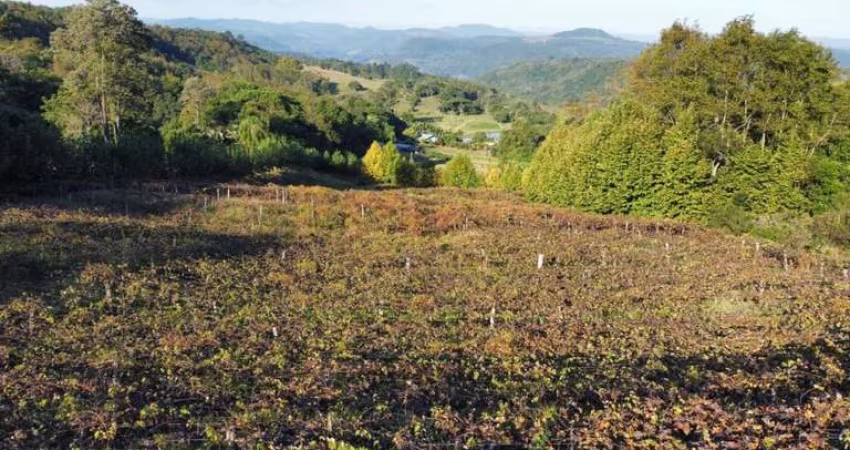 Sítio / Chácara para Venda no bairro Nova Aurora em Igrejinha, 3 quartos, 1 vaga, 40000 m² de área total,