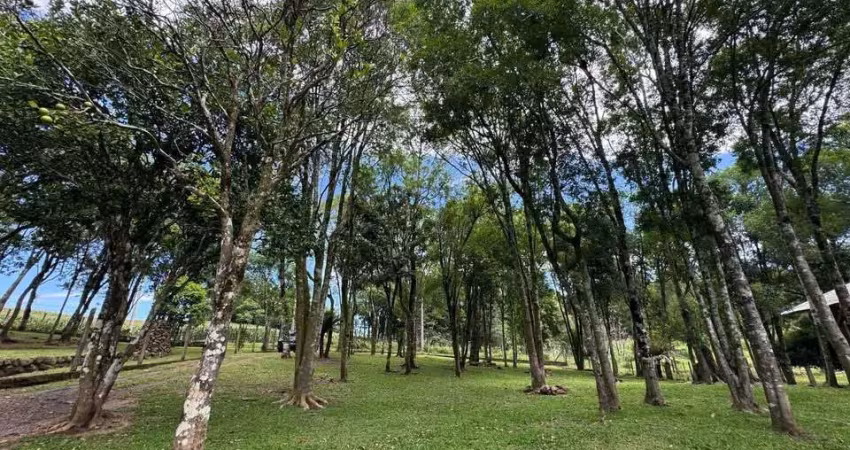 Sítio / chácara para venda no bairro serra grande em três coroas